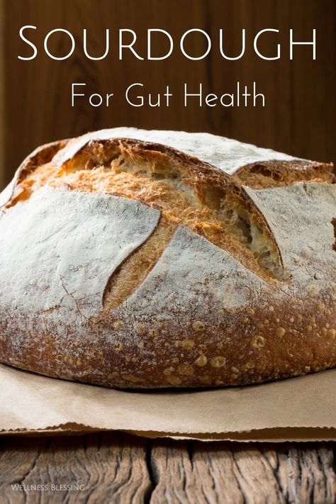 How sourdough bread supports gut health. #sourdough #bread #guthealth #microbiome Healthy Homemade Sourdough Bread, How To Make Healthy Sourdough Bread, Fermented Sourdough Bread, Sourdough Bread Gut Health, Gut Healthy Bread Recipe, Benefits Of Sourdough Bread Health, Healthiest Sourdough Bread, Sourdough Bread Health Benefits, Healthy Sourdough Bread Recipe