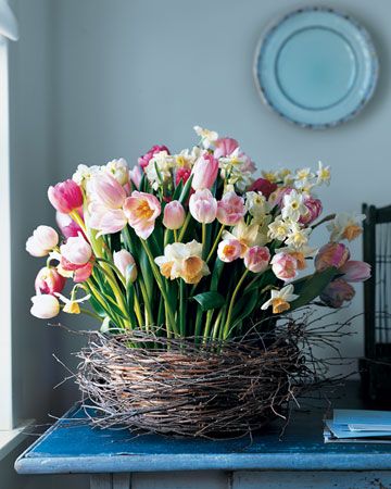 tulips & daffodils in a nest Spring Flower Arrangements Centerpieces, Spring Flower Arrangements, Spring Floral Arrangements, Spring Centerpiece, Cat Ideas, Cat Trees, Spring Beauty, Deco Floral, Arte Floral