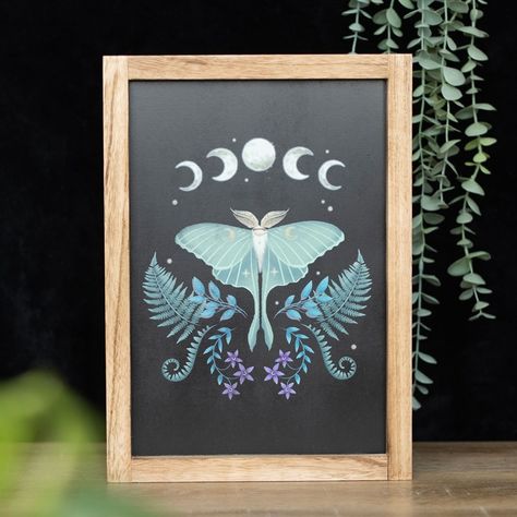 Dark Forest Print Wooden Framed Wall Art Add a touch of enchantment and mystery to your space with these framed Dark Forest prints. These captivating, statement prints feature intricate dark forest designs including mystical mushrooms, a glowing luna moth, a frest bee, and magickal plants, elegantly framed in wood to compliment any decor. Part of the Dark Forest range of mystical woodland gifts and home decor. H:35 x W:25 x D:2 cm https://snazzigifts.co.nz/collections/dark-forest-print-... Luna Moth Design, Moth Artwork, Gothic Homeware, Moth Art Print, Moth Design, Forest Designs, Moth Print, Moth Art, Luna Moth