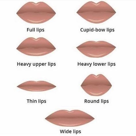 Which one is you? #repost #everydaywigscom cr: @bycontour Cupids Bow Lips, Cupids Bow, Lip Shapes, Full Lips, Makeup For Teens, Makeup Guide, Upper Lip, Makeup Blog, Beauty Eyes