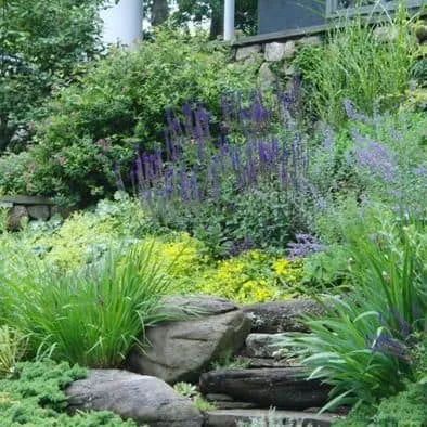 17 Hillside Landscaping Ideas to Beautify Your Hillside Yard in 2022 Steep Hill Landscaping, Boulder Landscaping, Steep Hillside Landscaping, Slope Garden, Slope Landscape, Slope Landscaping, Hill Landscape, Sloped Backyard Landscaping, Terraced Landscaping