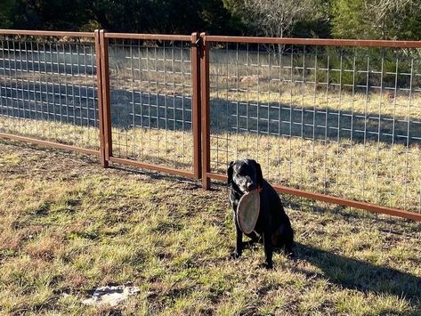 Dog Yard Fence, Outdoor Dog Area, Yard Fencing, Farm Fencing, Pipe Fence, Dog Backyard, Ranch Fencing, Gabion Fence, Ranch Ideas