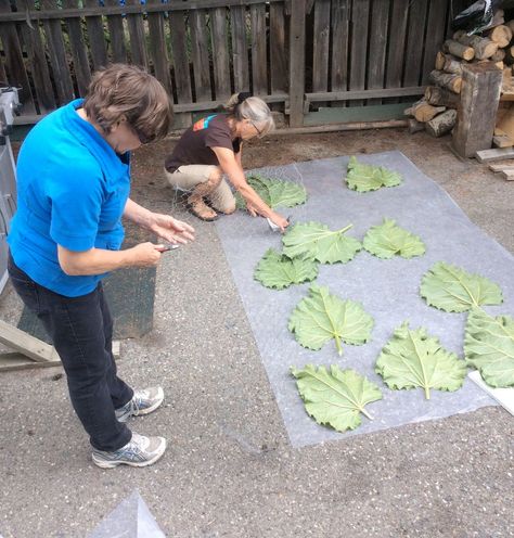 Cement Leaf Casting, Homemade Stepping Stones, Garden Stepping Stones Diy, Concrete Diy Garden, Leaf Stepping Stones, Cement Leaves, Cement Projects, Stepping Stone Molds, Concrete Leaves