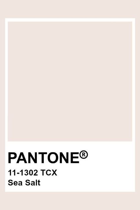 Pantone Swatches Colour Palettes, Sea Salt Aesthetic, Ivory Pantone, Pantone White, Beige Pantone, Sea Salt Color, Pantone Tcx, Pantone Color Chart, Pantone Swatches