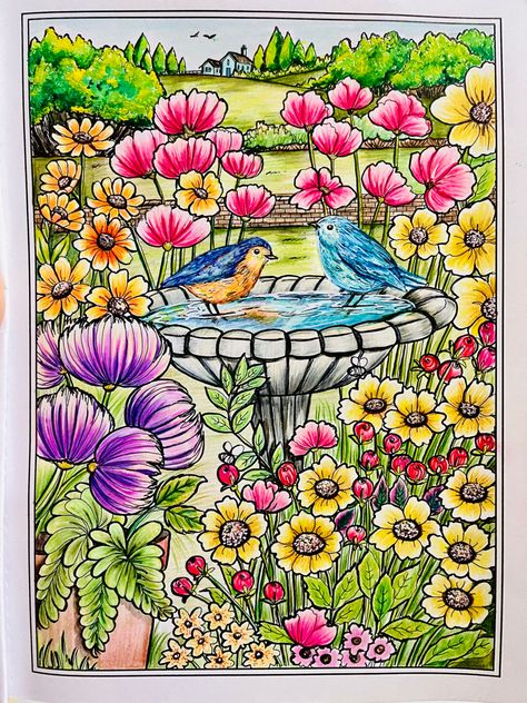 Country Gardens Coloring Book, Coloring House, Teresa Goodridge, Creative Haven Coloring Books, Charm Art, Colouring Ideas, Gardens Coloring Book, Summer Coloring, Decoupage Papers