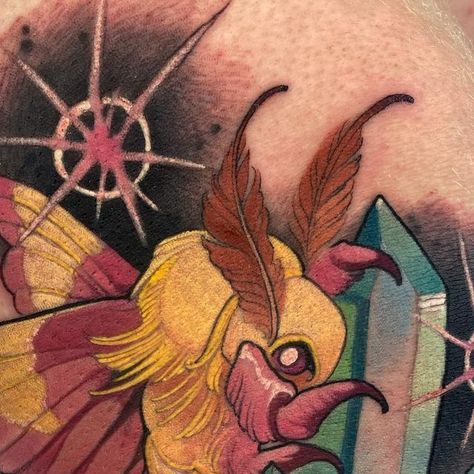 🌙🌿juniper🌿🌙 on Instagram: "✨Rosy Maple Moth ✨ Had the honour of tattooing the very talented @rkraiza who came to visit me at @stonesthrowtattoo" Rose Maple Moth, Maple Moth Tattoo, Rosy Maple Moth Tattoo, Moth Tattoos, Maple Moth, Rosy Maple Moth, Moth Wings, Moth Art, Moth Tattoo