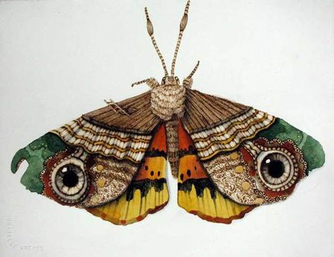 The Pyrography and Mixed Media of Scott Marr: Design Observer Yumi Okita, Textile Insects, Textile Moth, Large Moth, Embroidered Butterflies, Moth Art, Textile Sculpture, Beautiful Bugs, Colorful Butterfly