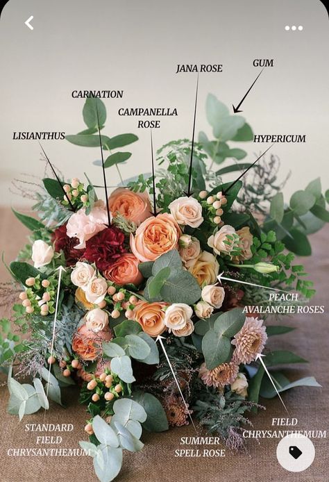 Bouquet Recipes, Hand Tied Bridal Bouquet, Bouquet Recipe, Flower Recipes, Flower Guide, Hand Bouquet, Flower Food, Deco Floral, Wedding Flower Arrangements