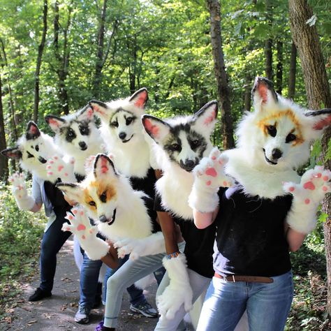 Kitsune Fursuit, Realistic Fursuit, Fox Fursuit, Fursuit Ideas Wolf, First Fursuit, Fox Anthro, Realistic Wolf Fursuit, Cat Fursuit, Plantigrade Fursuit