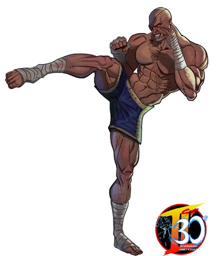 Sagat Street Fighter, Street Fighter V, Street Fighter 2, Drawing Reference Poses, Muay Thai, Street Fighter, Character Design, Humanoid Sketch, Drawings