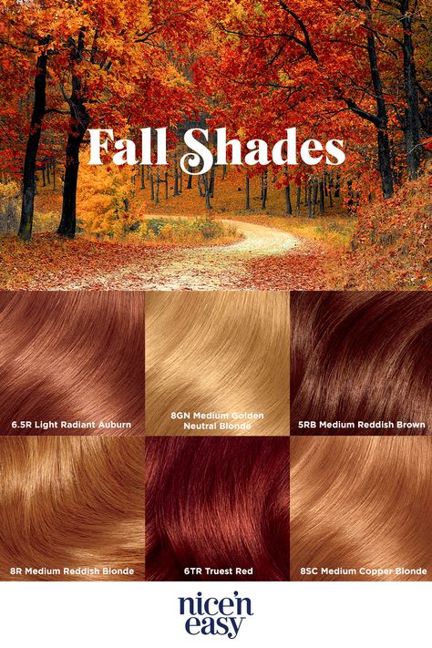 Ginger Reddish Hair, Autumn Leaves Hair Color, Deep Autumn Blonde Hair, Autumn Hair Dye, Autumn Brown Hair, Honey Ginger Hair Color, Soft Copper Hair, Natural Hair Dye Ideas, Copper Hair With Blonde Highlights