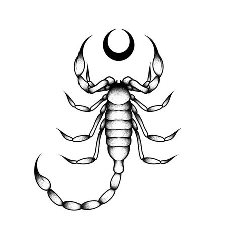 Scorpion Tattoo Design, Wicca Tattoo, Scorpio Zodiac Tattoos, Atlas Tattoo, Small Back Tattoos, Horoscope Tattoos, Scorpio Tattoo, Tattoo Old School, Tattoo Outline Drawing