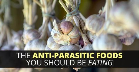 Why You Should Add Anti-Parasitic Foods To Your Diet Parasite Diet, Home Remedies, Improve Yourself, Diet