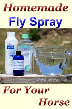 Natural Fly Spray For Horses, Homemade Fly Spray For Horses, Horse Fly Spray Recipe, Diy Horse Fly Spray, Diy Horse Stuff, Fly Remedies, Fly Repellant Diy, Horse Fly Spray, Homemade Fly Spray