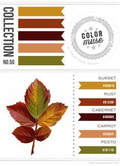 Rust Color Scheme, Color Pallette, Paint Colors, Brown Rust, Color Schemes Rust, Autumn Colors, Brown Color, Color Palette Brown Living Rooms, Rust Color Schemes, Brown Living Room Decor, Brown Color Schemes, Gold Color Palettes, Color Schemes Colour Palettes, Room Color Schemes, Bedroom Color Schemes, Room Color