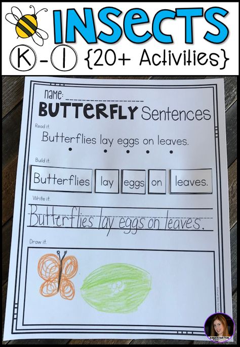 Bugs For Kindergarten, Butterflies Kindergarten Activities, Insect Activities For Kindergarten, Butterfly Unit Kindergarten, Butterflies Kindergarten, Bees Kindergarten, Butterfly Kindergarten, Kindergarten Butterfly, Butterfly Activities