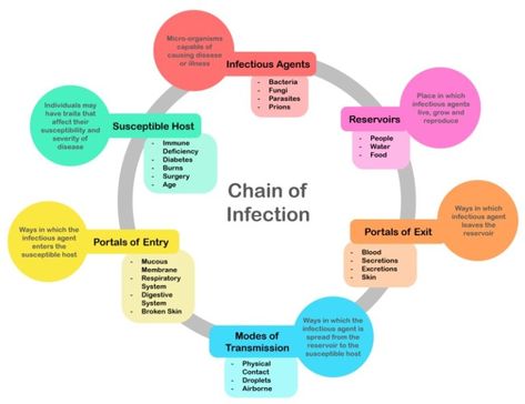 Difference Between Colonization and Infection | Colonization vs Infection Infection Control Nursing Poster, Chain Of Infection Poster, Nurse Instructor, Chain Of Infection, Infection Control Nursing, Communicable Diseases, Foot Reflexology Massage, Health Unit, College Notes