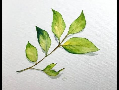 YouTube | Watercolor leaves, Botanical illustration watercolor, Watercolor Watercolor Tutorial Step By Step, Palm Leaf Watercolor, Watercolor Step By Step, Leaves Tutorial, Painting Leaves, Painting School, Basic Watercolor, Basic Painting, Art Tutorials Watercolor