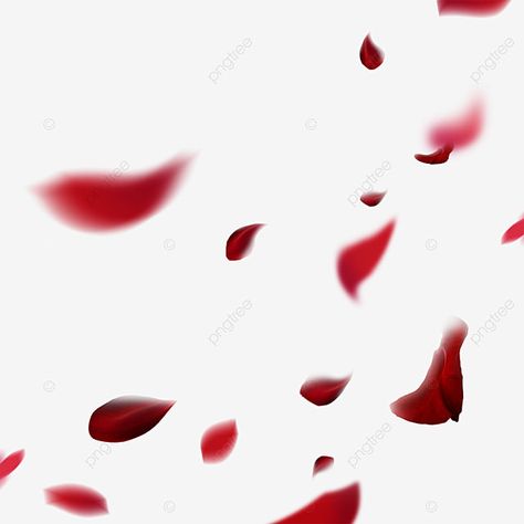 falling,petal,rose flower,romantic,red,beautiful,creativity,sprinkling,falling flowers,rose clipart,beautiful clipart,red clipart,creative clipart,rose flower clipart,romantic clipart Red Roses Background, Rose Petals Falling, Bride Fashion Illustration, Petals Falling, Rose Flower Png, Falling Petals, Flower Romantic, Falling Flowers, Black Hd Wallpaper