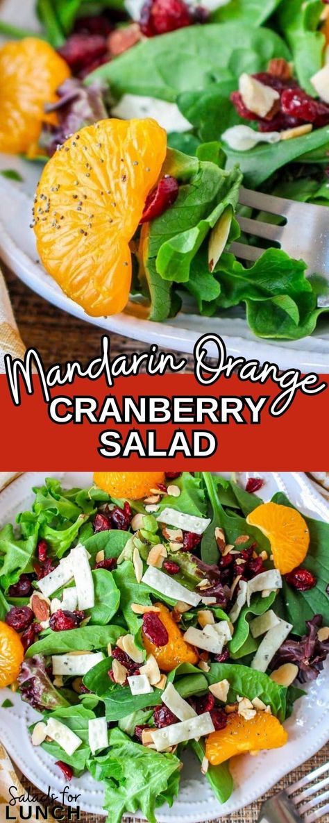 Salad With Poppy Seed Dressing, Mandarin Orange Salad, Healthy Lunch Salad, Seed Salad, Quick Salads, Poppy Seed Dressing, Vegetarian Salad Recipes, Cranberry Salad, Healthy Food Recipes Clean Eating