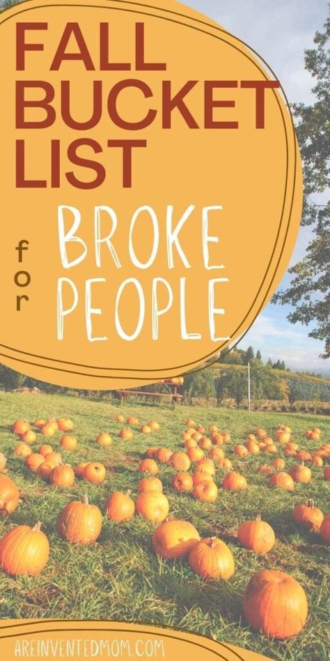 Fall Bucket List Ideas, Fall Family Fun, Thankful Tree, Fall Dates, Bucket List Ideas, Fall Camping, Fun Fall Activities, Fall Bucket List, Activities For Adults