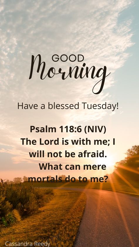 Good Morning Bible Verse Psalms, Good Morning Scripture, Good Morning Bible Verse, Good Morning Prayer Quotes, Psalm 118 6, Morning Scripture, Tuesday Blessings, Morning Tuesday, Daily Wishes