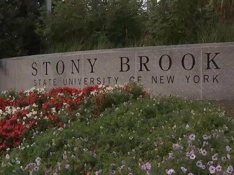 Flooding at Stony Brook U. prompts school to offer students money to not move in - NewsBreak Freshman Orientation, Stony Brook University, Stony Brook, Video Contest, Florida Restaurants, South Carolina Beaches, Carolina Beach, University Of Oregon, Stanford University