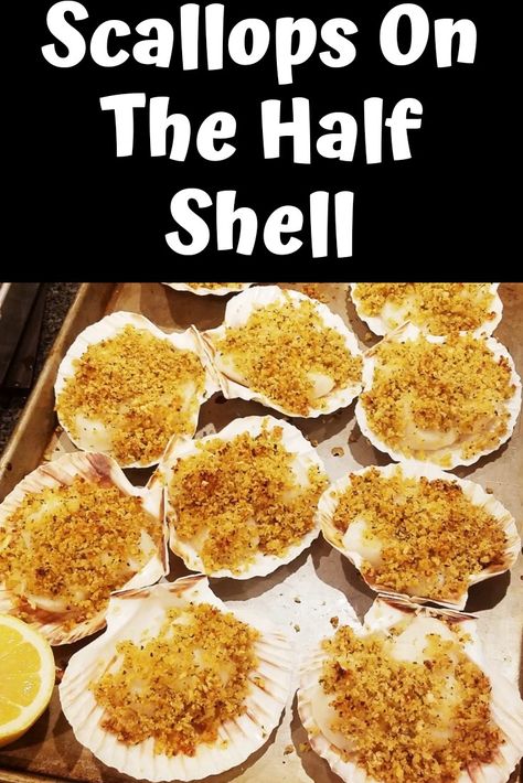 Half Shell Scallop Recipe, Scallops On The Half Shell Recipe, Stuffed Scallops In Shell, Scallops In Shell, Seafood Party Food, Broil Recipes, Bay Scallop Recipes, Scallop Appetizer, Baked Brisket