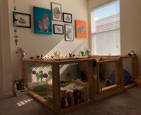 DIY Rabbit Enclosure Build Rabbit Cage, Diy Rabbit Habitat Indoor, Indoor Rabbit Setup Diy, Rabbit Indoor House Ideas Diy, Indoor Bunny Setup Diy, Bunny Necessities, Bunny House Indoor Diy, Rabbit Habitat Indoor, Rabbit Indoor House Ideas