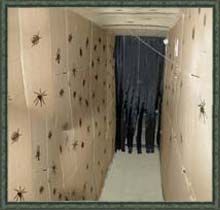 Bug Tunnel using cardboard walls~maybe paint cardboard flat black, and the bugs with glow in the dark paint? Spook Alley Ideas For Kids, Halloween Tunnel Ideas, Halloween Tunnel, Haunted Hallway, Halloween Haunted House Diy, Maze Ideas, Haunted Garage, Paint Cardboard, Haunted Maze