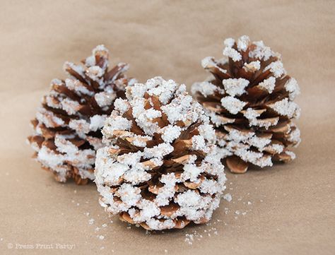 Salt Print rifle | ... the bottom of each pinecone with a glue gun to glue the burlap strips Frosted Pinecones, Pinecone Crafts, Acorn Leaf, Cones Crafts, Pine Cone Crafts, Christmas Arrangements, Craft Tutorial, Jingle Bell, Glue Crafts