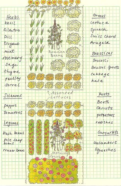 VG Floral Landscaping, Vege Patch, Homestead Food, Gardening Containers, Growing Vegetables At Home, Garden Planning Layout, Veggie Art, Vegetable Garden Planner, Garden Layout Vegetable