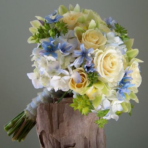 bouquet contained tweedia, pale blue hydrangea, Cream Prophyta roses, green mini cymbidiums, Blue And Yellow Wedding Bouquet, Cassie Wedding, Blue Yellow Weddings, Yellow Bridal Bouquets, Christian Weddings, Plymouth Michigan, Prom Bouquet, Bridal Bouquet Blue, Beau Film