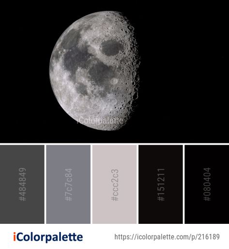 38 Astronomy Color Palette ideas in 2021 | iColorpalette Moon Colour Palette, Moonlight Color Palette, Moon Pallete, Monochrome Aesthetic Color, Planet Color Palette, Futuristic Color Palette, Moon Color Palette, Color Palette Theme, Moon Moodboard