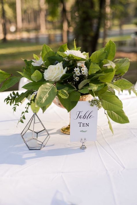 Fresh greenery compote centerpieces. Photography by Rowlands Photography. Compote Vase, Greenery Centerpiece, Pavilion Wedding, Wedding Flower Inspiration, Floral Ideas, Centerpiece Ideas, Natural Wedding, Nature Wedding, Wedding Plans