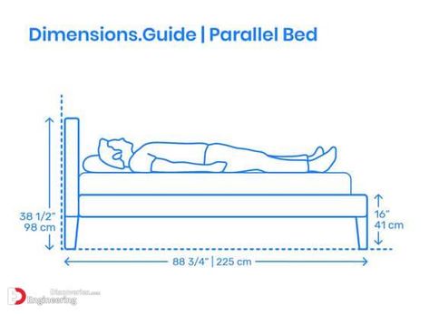 Bed Height Standard, Standard Bedroom Dimensions, Bunk Beds For Boys Room, Bed Queen Size, Leather Upholstered Bed, Best Bedroom Colors, Human Dimension, Interior Architecture Drawing, Architectural Engineering