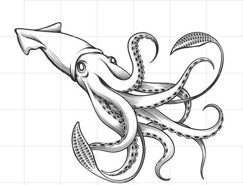 Squid Tattoo Design Simple, Deep Sea Creatures Drawings, Squid Art Illustrations, Giant Squid Drawing, Squid Drawing, White Flower Tattoos, Squid Tattoo, Engraving Tattoo, Labs Art