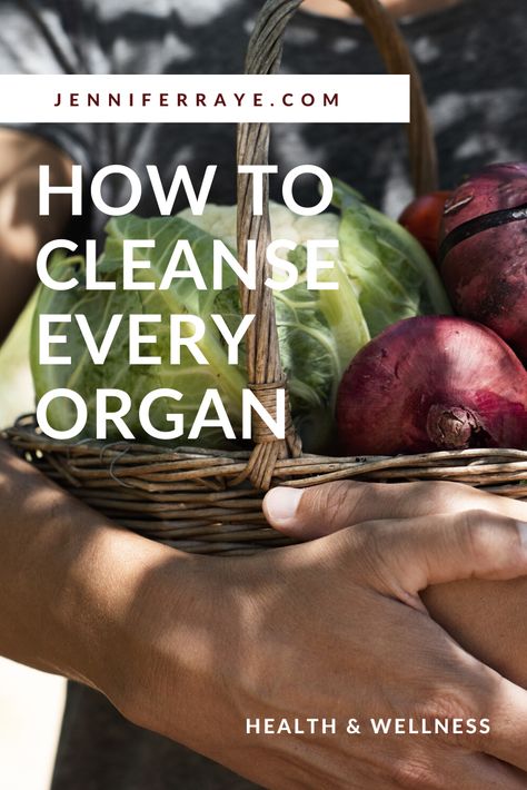 Organ cleanses are great ways to increase vitality, build energy, and boost health. Detox your organs with these specific cleanses. #organcleanse #organdetox #detox #cleanse Organ Cleanse, Whole Body Cleanse, Dry Brushing Skin, Lymph Fluid, Ancient Healing, Body Detoxification, Skin Brushing, Cleanse Me, Self Massage