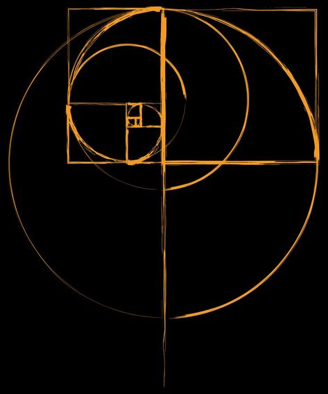 golden ratio art sacred geometry fibonacci spiral design Golden Ratio Symbol, Fibonacci Logo Design, Fibonacci Tattoo Golden Ratio, Fibonacci Logo, Golden Ratio Architecture, Fibonacci Sequence Art, Spiral Design Pattern, Fibonacci Design, Spiral Design Art