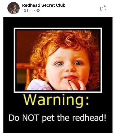 Redhead Memes, Ginger Problems, Ginger Quotes, Ginger Jokes, Redhead Quotes, Natural Red Hair, Dyed Red Hair, Happy Morning Quotes, Red Hair Don't Care