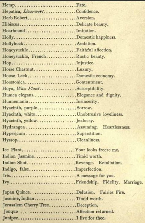 Floriography Language Of Flowers, Victorian Flower Language, Battle Kitty, Plant Symbolism, Flower Information, Flowers And Their Meanings, Victorian Language Of Flowers, Victorian Language, Flower Symbolism