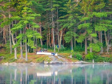 Beginning June 1, 2020, backcountry camping is available the 20 operating Ontario provincial parks that offer it, as well as all all non-operating provincial parks and conservation reserves. This photo of backcountry camping at Kawartha Highlands Provincial Park was kawarthaNOW's top Instagram photo in July 2018. (Photo: Jasmine Starr @jasminenstarr / Instagram) Ontario Provincial Parks, Ontario Parks, Pet Area, Algonquin Park, Backcountry Camping, Open When, Recreational Activities, June 1, Hiking Trails