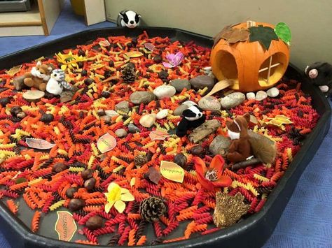 Autumn Tuff Tray, Eyfs Autumn, Autumn Eyfs Activities, Baby Room Ideas Early Years, Baby Room Activities, Autumn Eyfs, Autumn Themed Activities, Tuff Tray Ideas Toddlers, Learning Folder