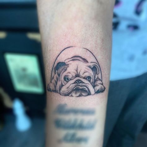 Bull Dog Tattoo, french bulldog tattoo, english bulldog tattoo, traditional bulldog tattoo, usmc bulldog tattoo, marine corp bulldog tattoo, minimalist bulldog tattoo, marine bulldog tattoo, bulldog tattoo ideas, georgia bulldog tattoo, american traditional bulldog tattoo, american bulldog tattoo, angry bulldog tattoo, bulldog tattoo shop, french bulldog tattoo outline, bulldog tattoo designs, marine corps bulldog tattoo, bulldog tattoo parlor,traditional bulldog tattoo flash,mack bulldog tattoo Usmc Bulldog Tattoo, American Bulldog Tattoo, Traditional Bulldog Tattoo, Bulldog Tattoo Ideas, English Bulldog Tattoo, Marine Bulldog, Usmc Bulldog, Tooth Outline, Tattoo French