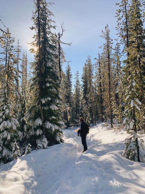 Hiking Aesthetic Winter, Winter Hike Aesthetic, Oregon Snow, Romanticizing Winter, Snowboard Aesthetic, Washington Winter, Oregon Aesthetic, Oregon Winter, Canada Life