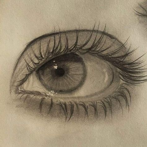 Grey Eyes Drawing, Watery Eyes Drawing, Eye Highlights Drawing, Real Eye Drawing, Mad Eyes Drawing, How To Draw Lashes, Drawing Ideas Realistic, Sketchbook Ideas Doodles, Eyelashes Drawing