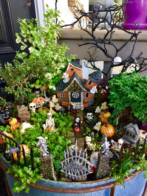 Halloween Fairy Garden Ideas Diy, Fairy Garden Halloween, Creepy Fairy Garden, Witchy Fairy Garden, Goth Fairy Garden, Gothic Fairy Garden, Halloween Fairy Garden Ideas, Haunted Fairy Garden, Spooky Fairy Garden