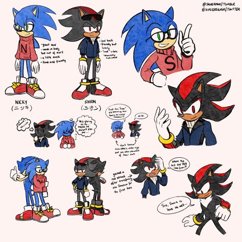 Nikki The Hedgehog, Nicky The Hedgehog, Silly Hedgehog, Sonic X Shadow Fanart, Sonic Pfps, Sonic Pictures, Shadow And Rouge, How To Draw Sonic, Sonic The Movie