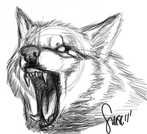 Sketches on Pinterest | Wolf Sketch, Wolves and Angry Wolf Wolf Growling, Growling Wolf, Instacart Shopper, Series Ideas, Angry Wolf, Wolf Sketch, Wolf Stuff, Wolf Tattoo Design, Wolf Drawing