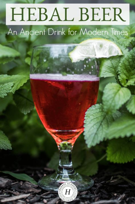 Herbalist Apothecary, Homemade Liquors, Homemade Wine Recipes, Drinks Nonalcoholic, Mead Wine, Medicine Garden, Herbal Academy, Homemade Alcohol, Craft Brew